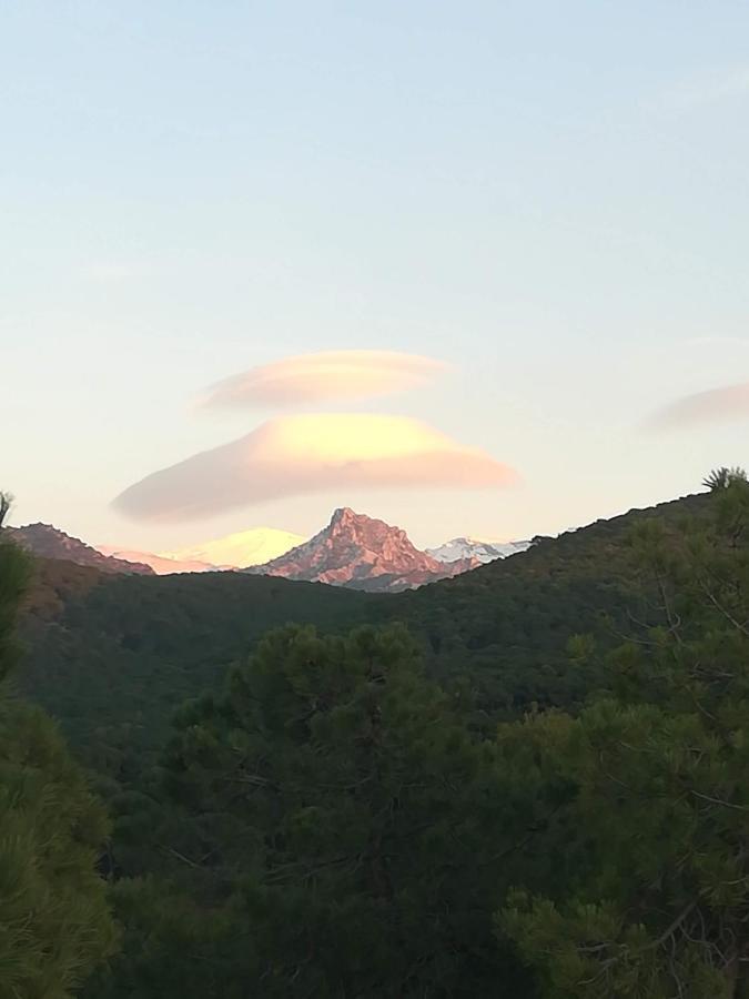 Acogedor apartamento con fantásticas vistas. La Zubia  Exterior foto